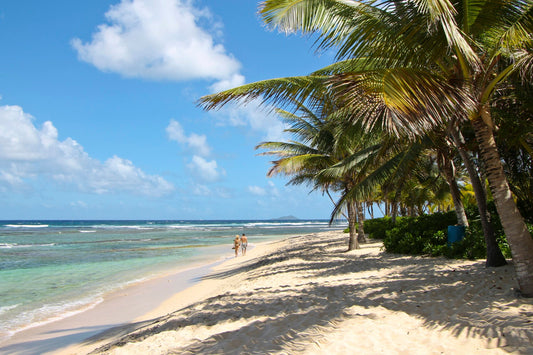 Take St. Croix With You