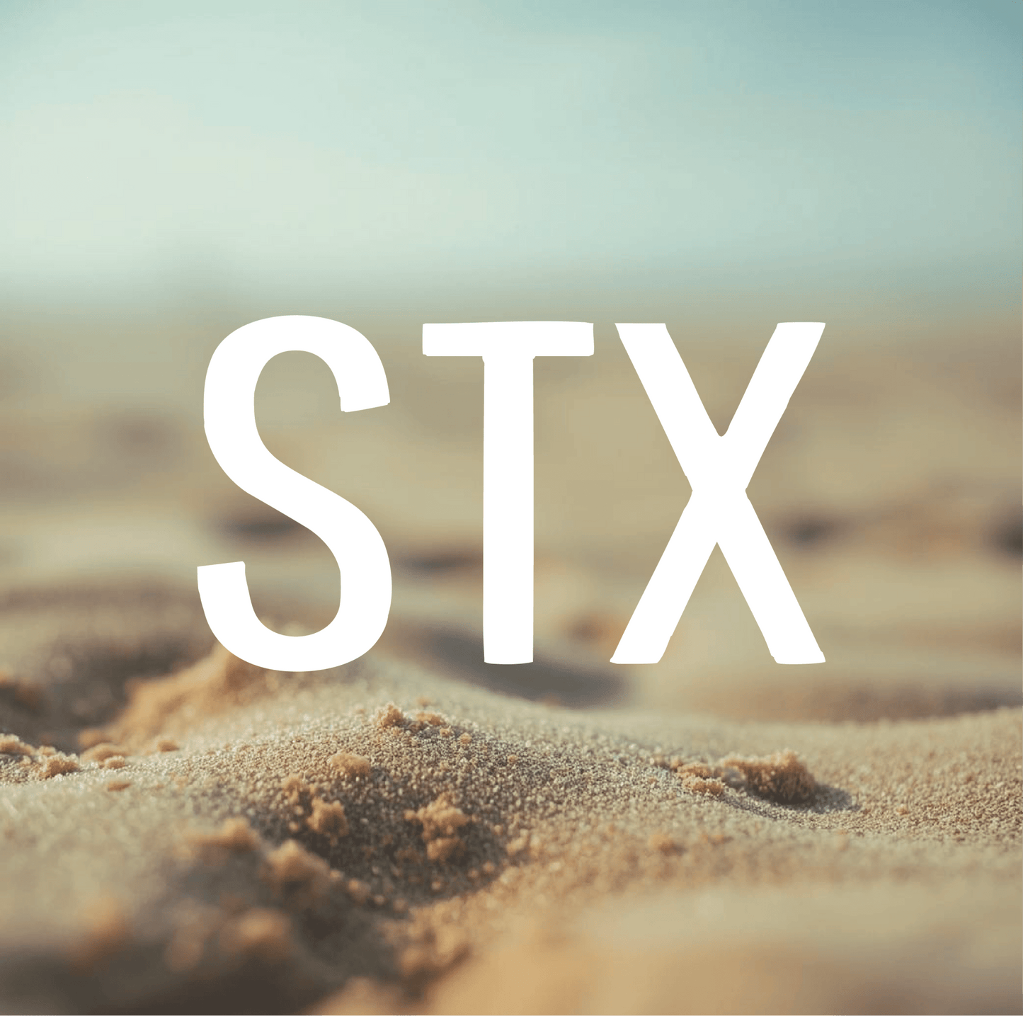 "STX" Vinyl Decal 4in. - Position - STXGifts