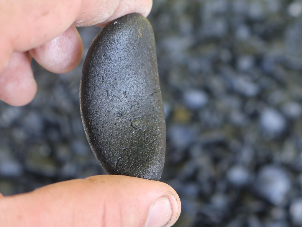 Rare Black Sea Glass (Pirate Glass) – St. Croix Caribbean Beach Glass – 6 oz Bulk