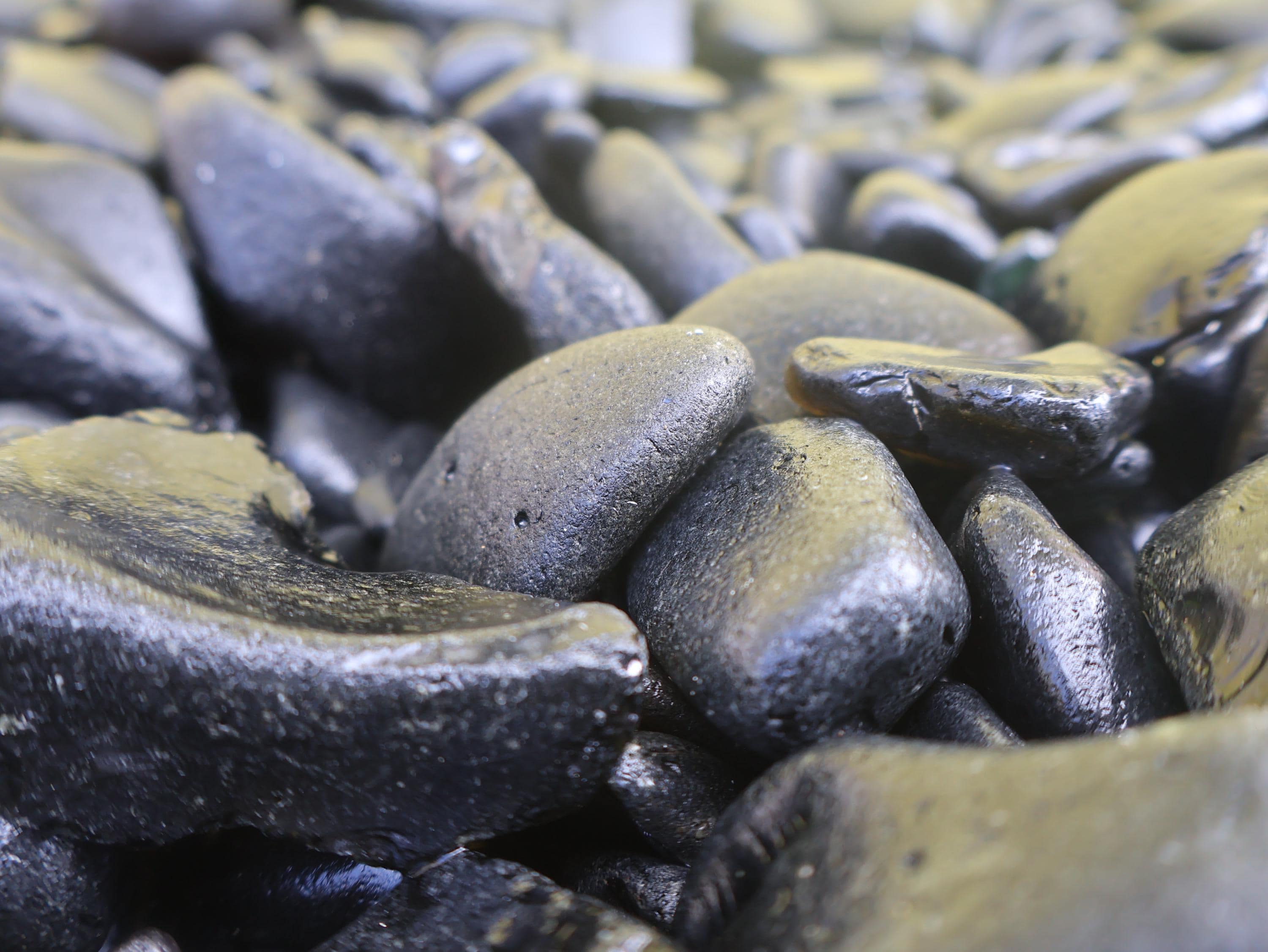Rare Black Sea Glass (Pirate Glass) – St. Croix Caribbean Beach Glass – 6 oz Bulk