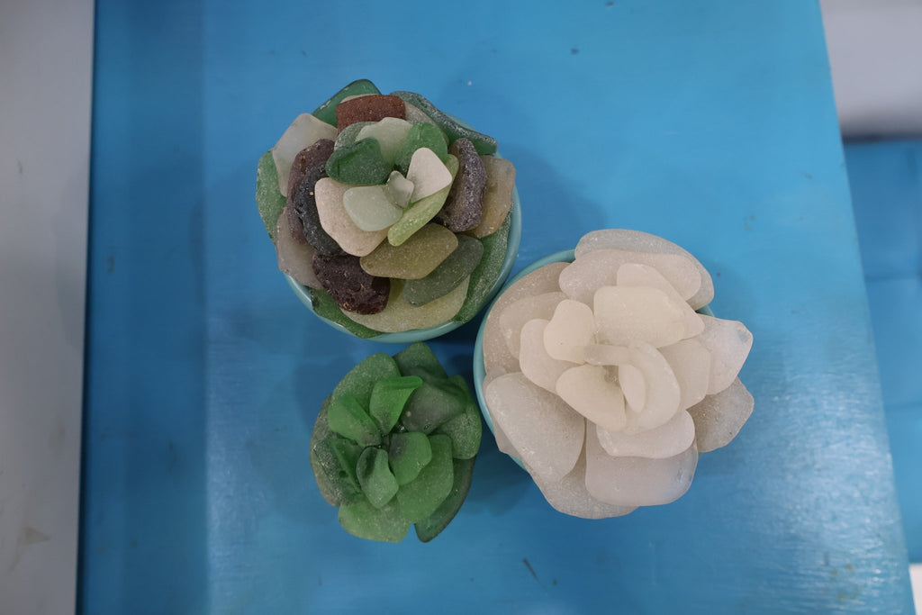 Sea Glass Succulent sculpture - Position - STXGifts