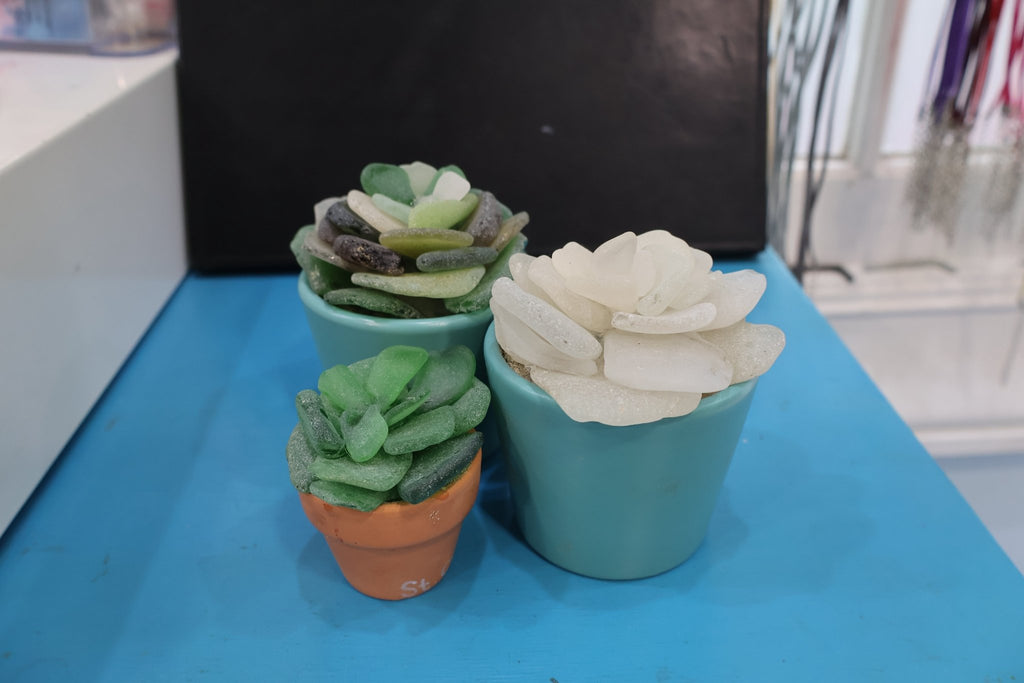 Sea Glass Succulent sculpture - Position - STXGifts