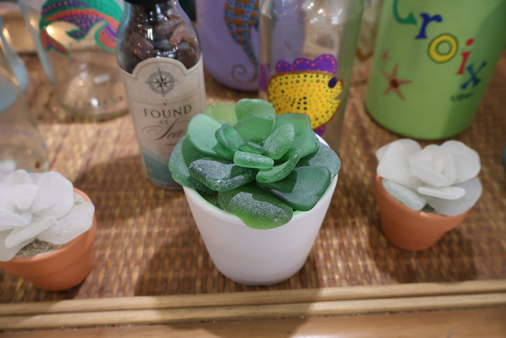 Sea Glass Succulent sculpture - Position - STXGifts