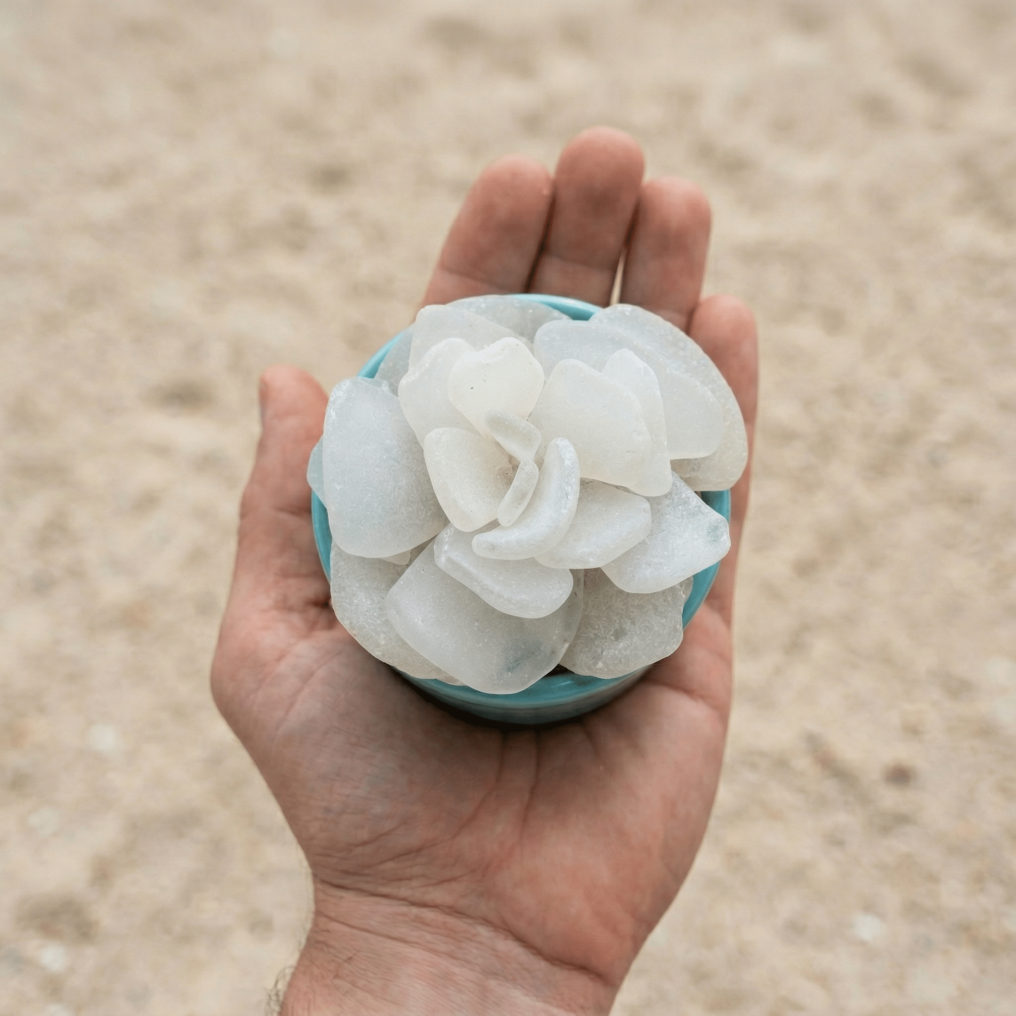 Sea Glass Succulent sculpture - Position - STXGifts