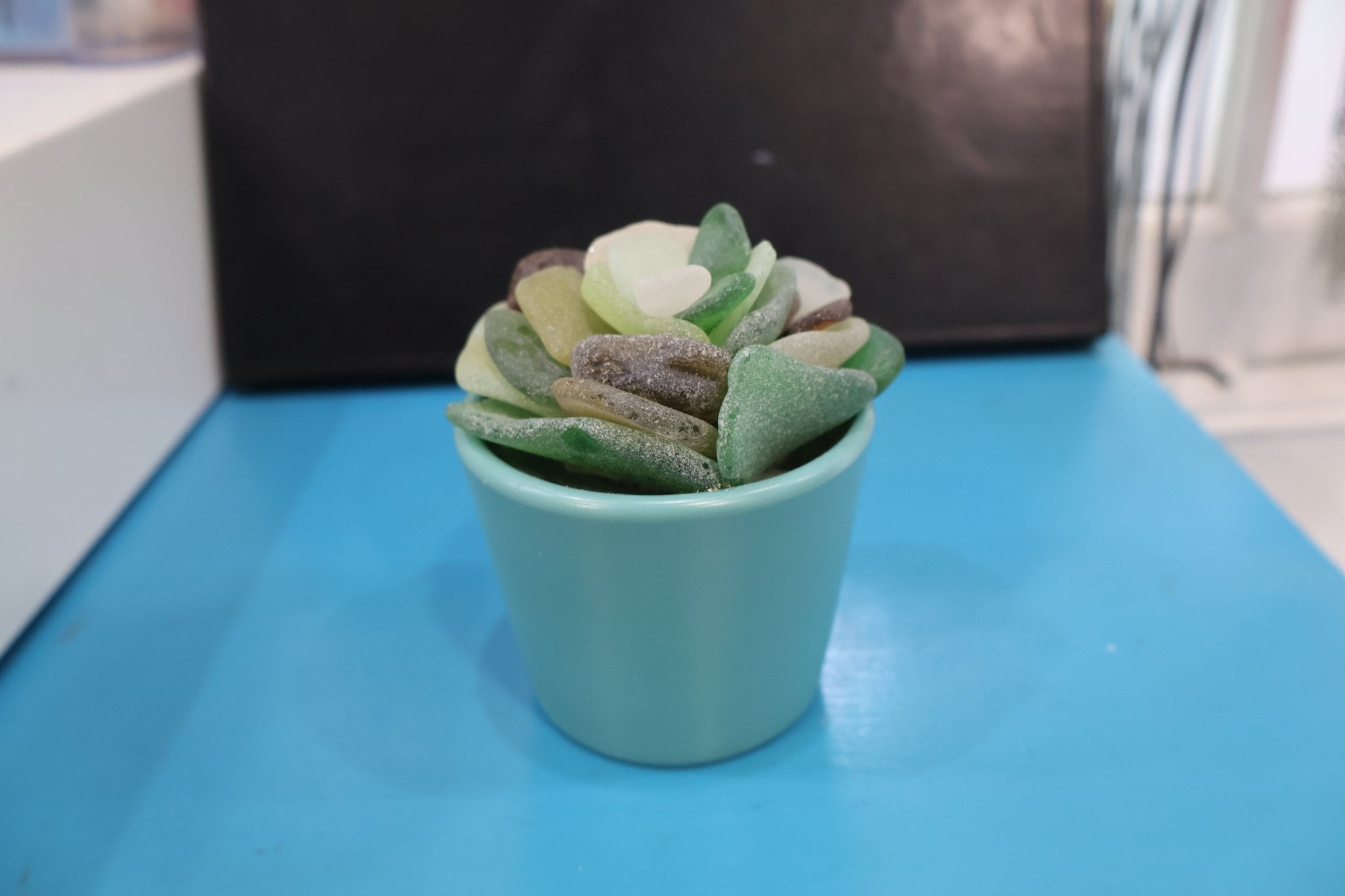 Sea Glass Succulent sculpture - Position - STXGifts
