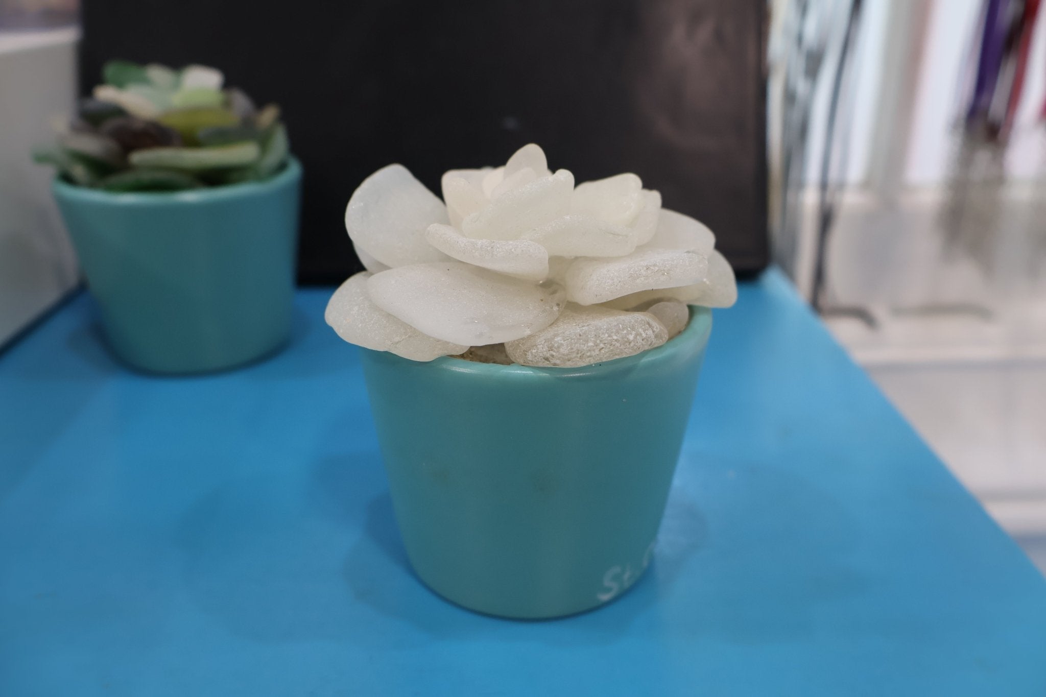 Sea Glass Succulent sculpture - Position - STXGifts