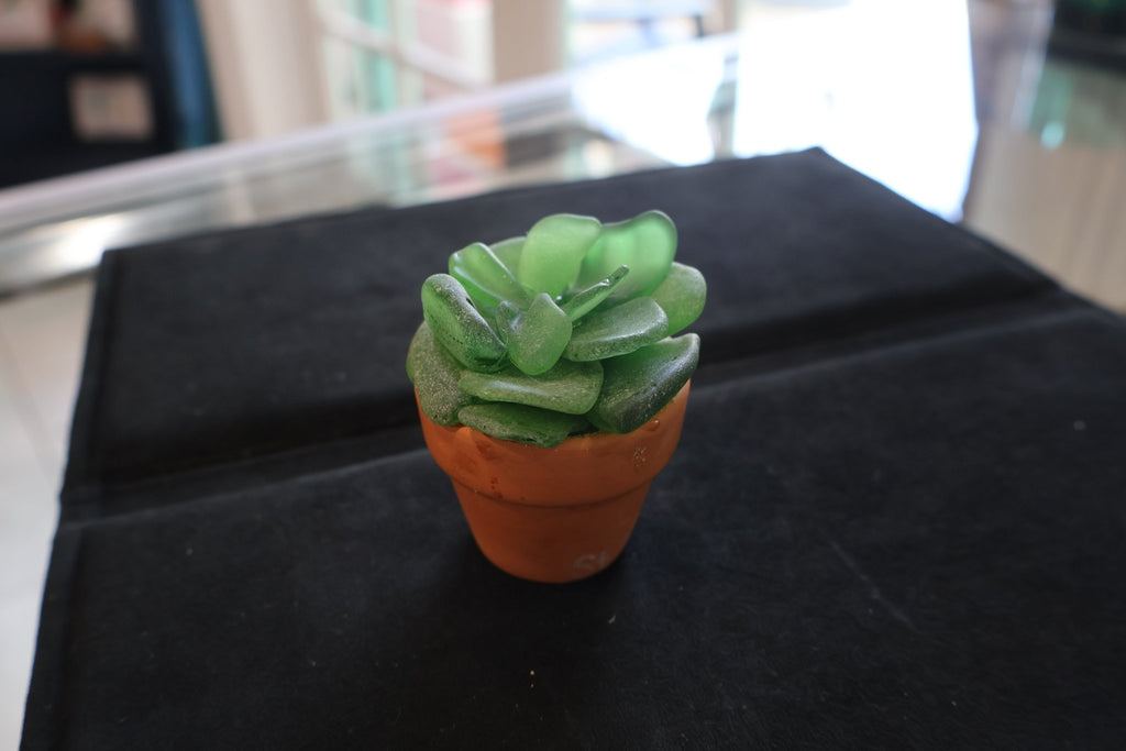 Sea Glass Succulent sculpture - Position - STXGifts