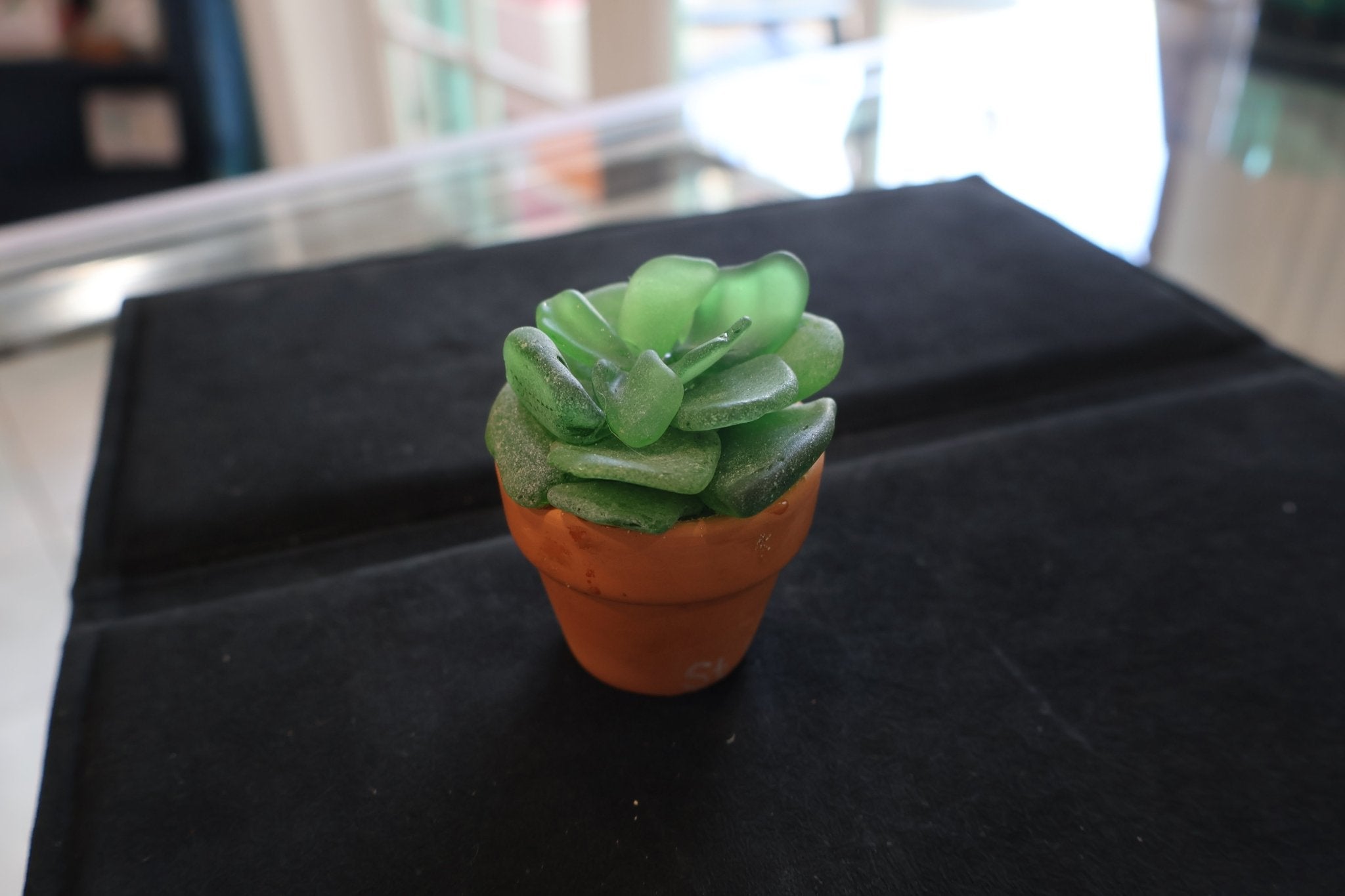 Sea Glass Succulent sculpture - Position - STXGifts